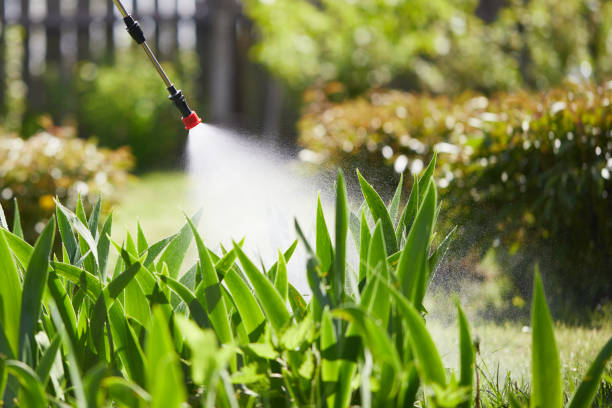 24/7 Emergency Cockroach Control experts in Oakland, SC