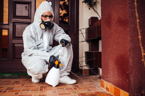 Reliable Cockroach Control contractor in Oakland, SC by Nex Pest Control